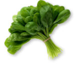 SPINACH 4/2.5 LB