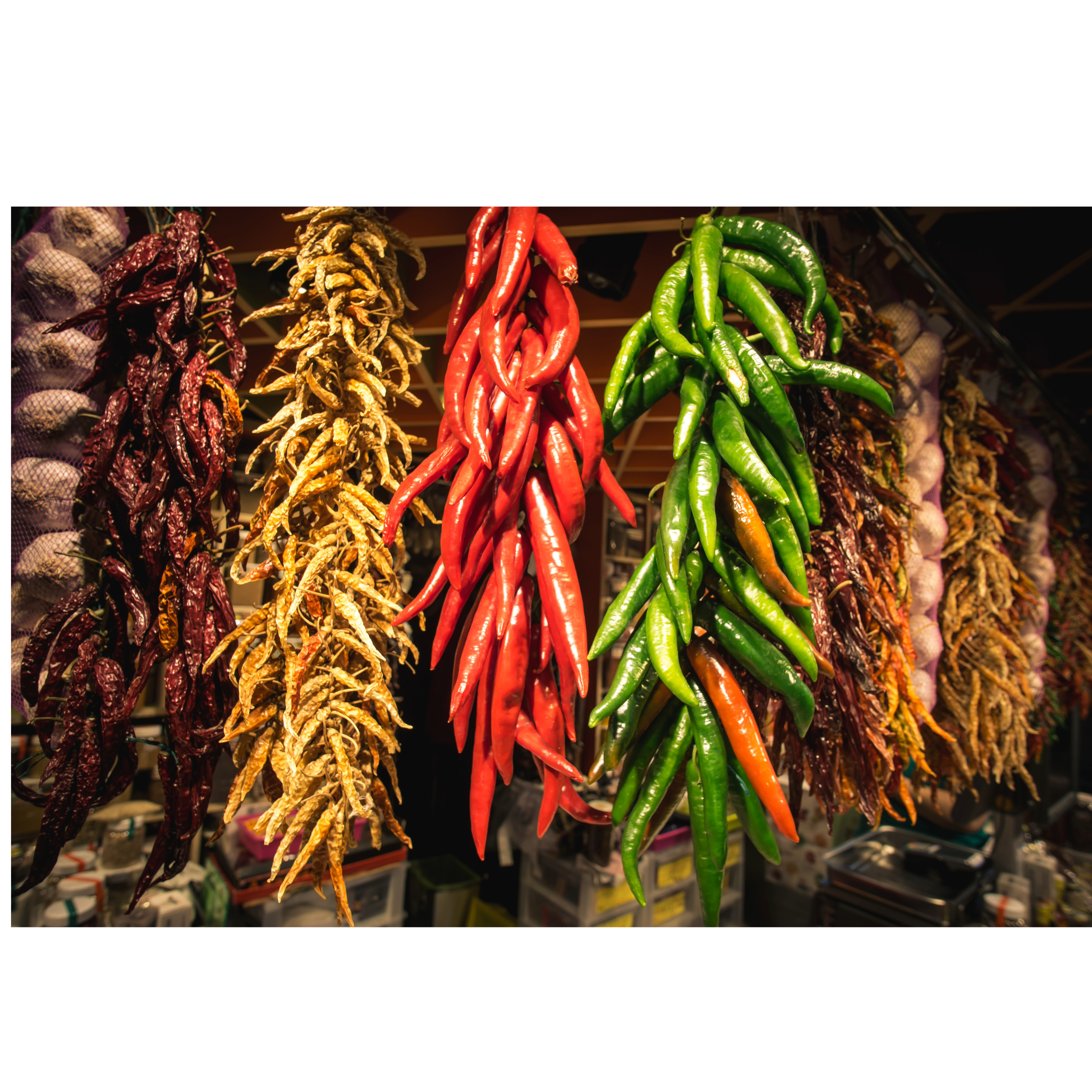  colorful display of hanging chili peppers in decorative ristras, featuring various dried and fresh chilies in different colors, including reddish-brown, yellow-tan, bright red, and green, against a market stall background