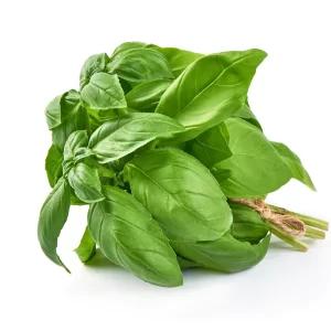 BASIL PER LB