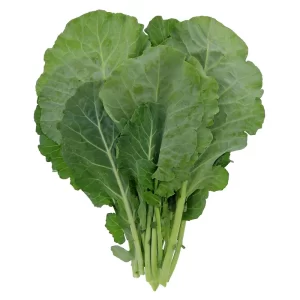 GREENS COLLARD 24 CT