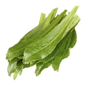CULANTRO 10CT