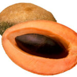 MAMEY 25LB