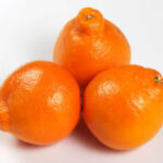 MINNELOAS (TANGELOS) 100CT